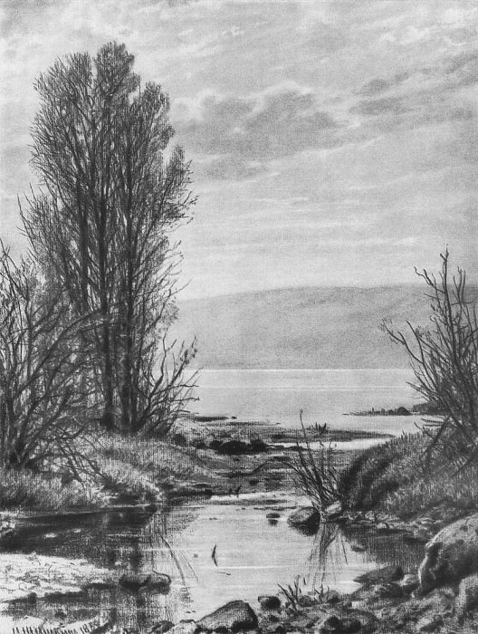 Beach Lakes 1884. Paper, charcoal, chalk 60h44, Ivan Ivanovich Shishkin
