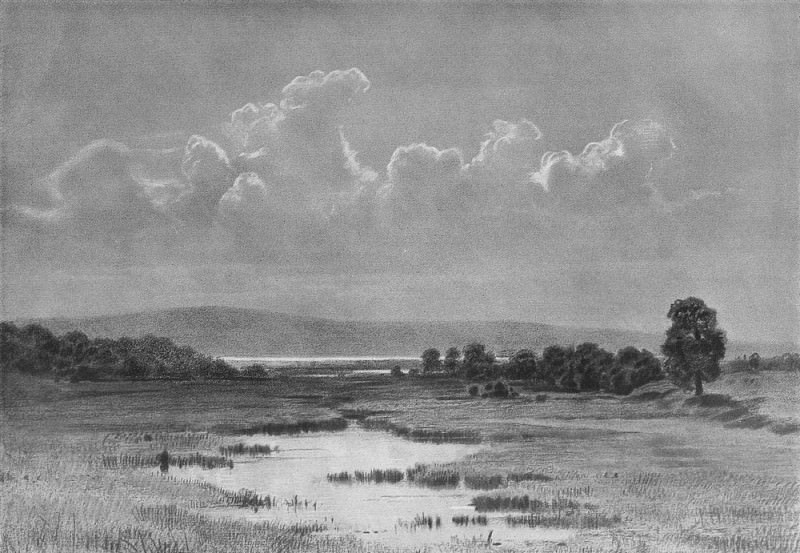 1884 Bog Paper. charcoal, chalk 46. 5h62, Ivan Ivanovich Shishkin