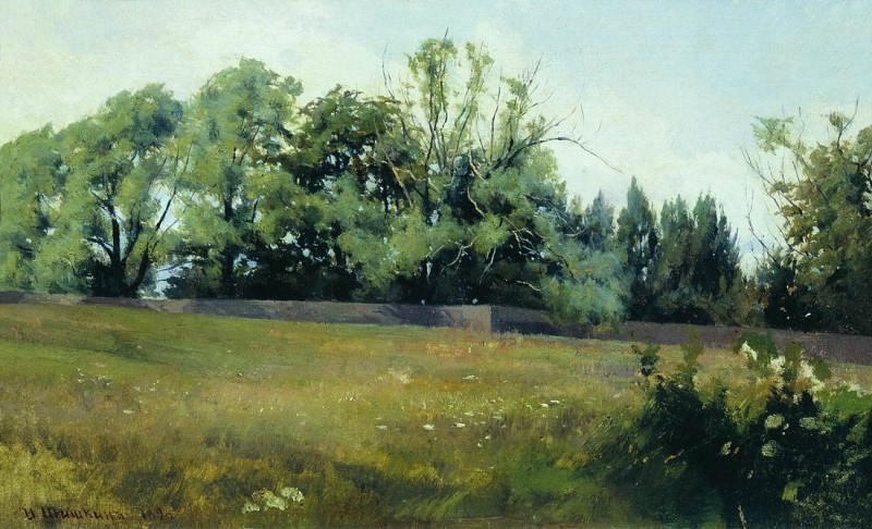 Пейзаж. 1898 25х34, Иван Иванович Шишкин