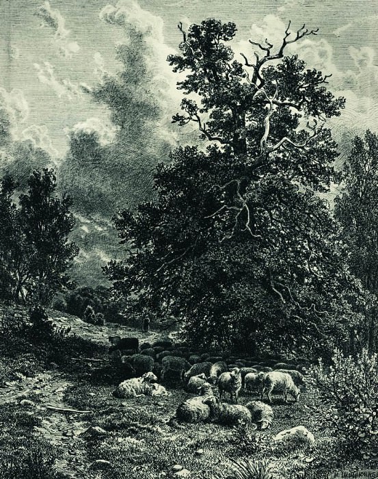 Стадо овец на опушке леса 1860-е 38х29, Иван Иванович Шишкин