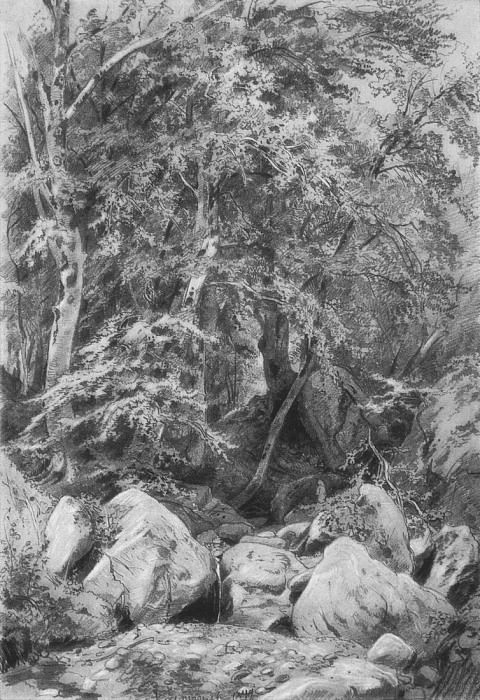 Trees near a stream on Mount Castel. 1879 46h31, Ivan Ivanovich Shishkin