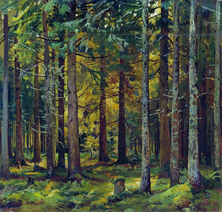 spruce forest 46h42, 5, Ivan Ivanovich Shishkin