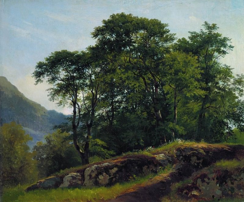 Буковый лес в Швейцарии1863 51х61, Иван Иванович Шишкин
