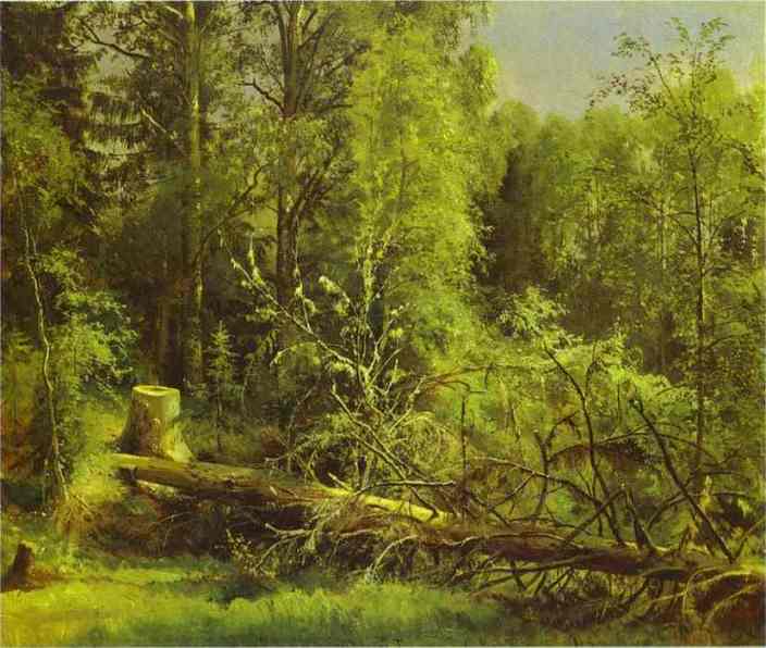 fallen tree, Ivan Ivanovich Shishkin