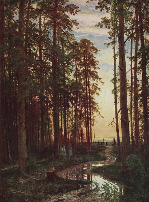 Evening in a pine forest 116h87 1875. 7, Ivan Ivanovich Shishkin