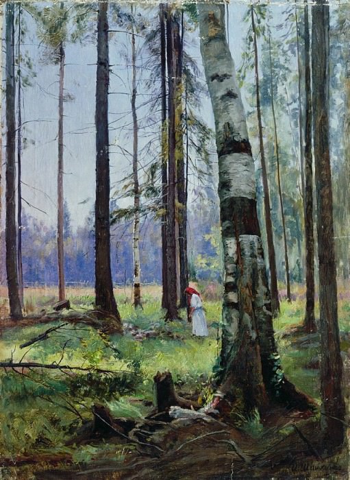 Edge of the Forest 1870-E 75. 5H54. 5, Ivan Ivanovich Shishkin