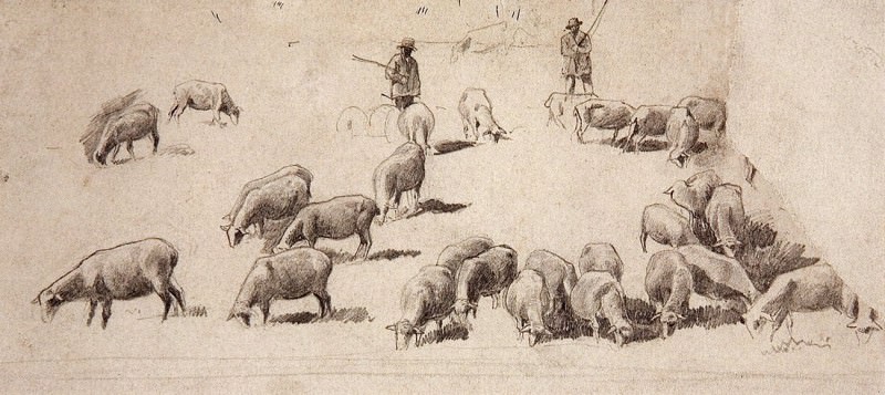 herd of sheep. 1862-1864 9, 6h21, 5, Ivan Ivanovich Shishkin