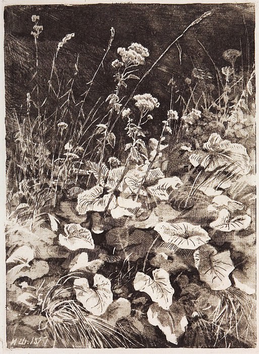 White flowers. 1877, 12 3h9, Ivan Ivanovich Shishkin