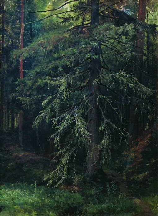 Spruce. Etude 77h58, Ivan Ivanovich Shishkin