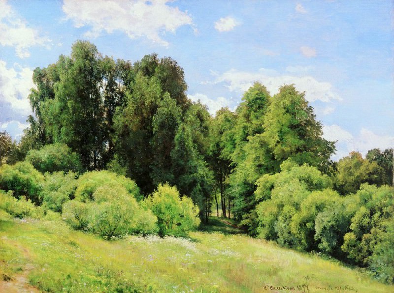 Forest Glade 1897 81 5h109, Ivan Ivanovich Shishkin
