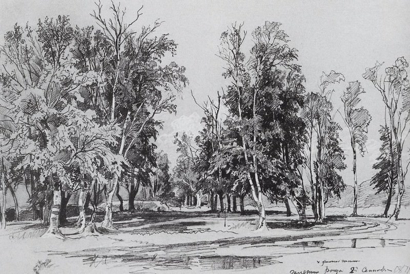 Zelenin grove. 1871 29, 7h43, 3, Ivan Ivanovich Shishkin