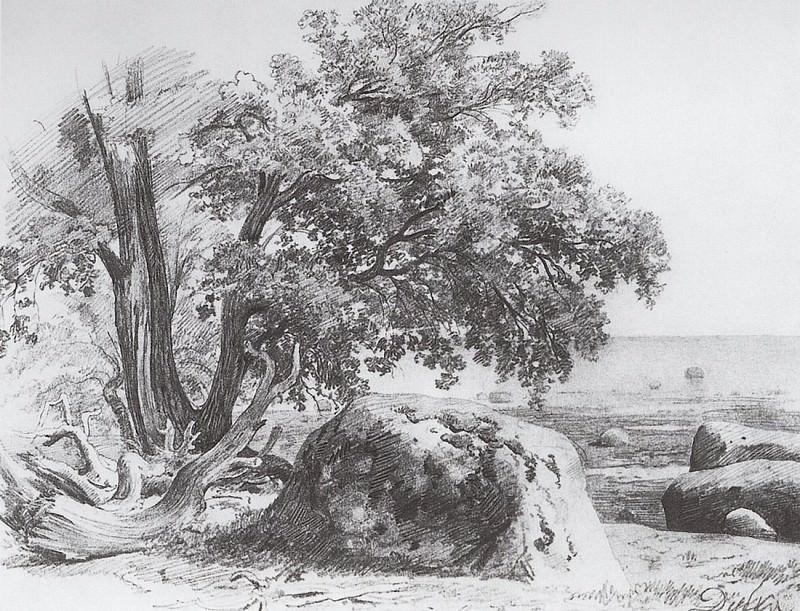 Дуб на берегу Финского залива. 1857 23х30, Иван Иванович Шишкин