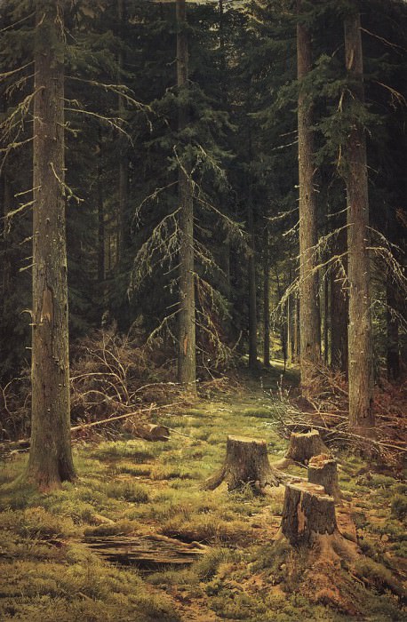 Хвойный лес 1873 144х98, Иван Иванович Шишкин