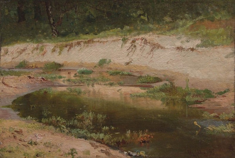 Forest Stream 1895. Etude, Ivan Ivanovich Shishkin