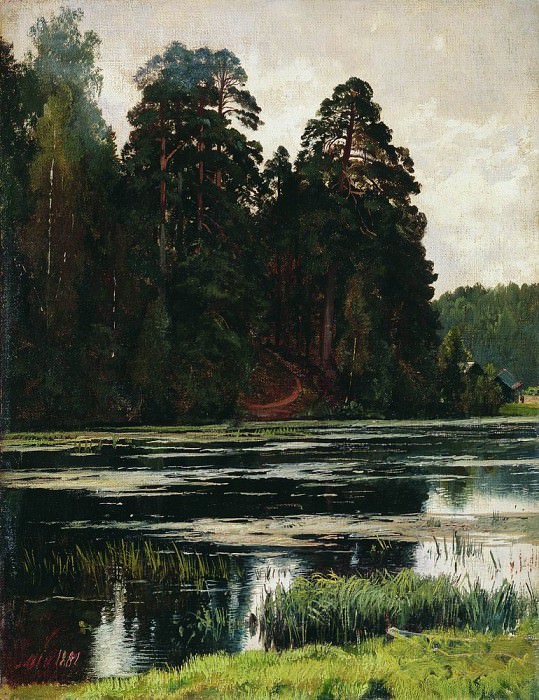 Pond 1881 38h29. 5, Ivan Ivanovich Shishkin