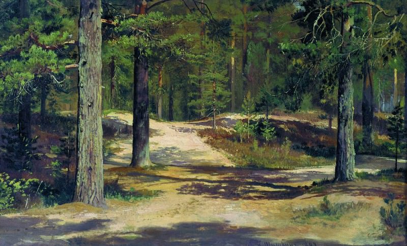 1889 Pine Forest 36h58. 5, Ivan Ivanovich Shishkin
