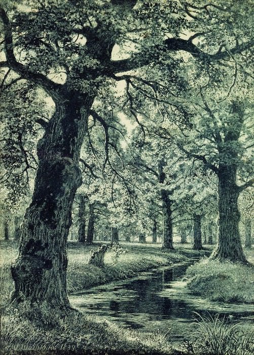 oak grove. 1893 51h40, Ivan Ivanovich Shishkin