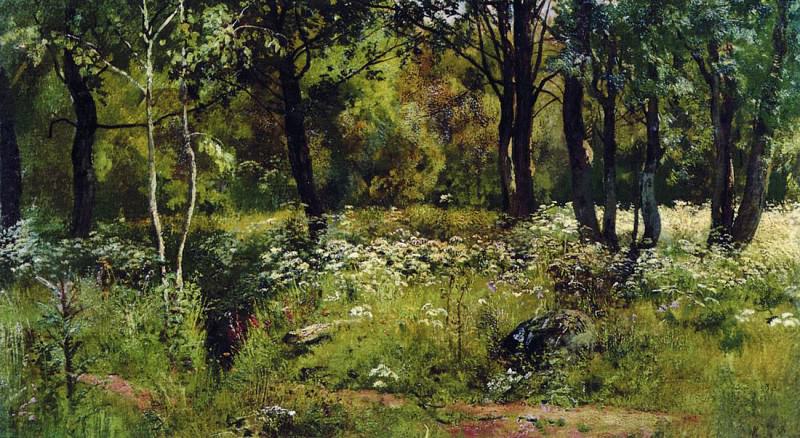 Forest Glade. Late 1880 – early 1890s, 34, 6h59, 6, Ivan Ivanovich Shishkin