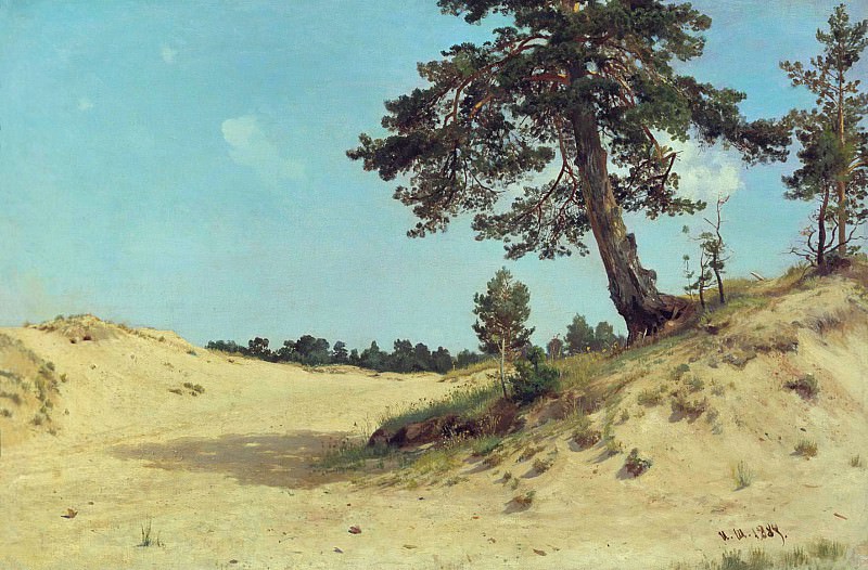 Сосна на песке 1884 69х105, Иван Иванович Шишкин
