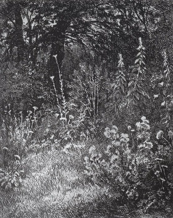 Лесные цветы. 1873 10х9, Иван Иванович Шишкин