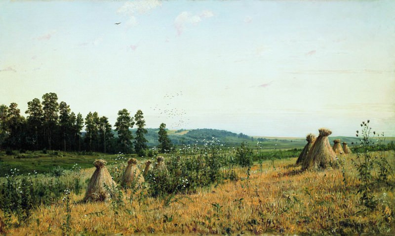 Сжатое поле. Полесский пейзаж 1884 71х117, Иван Иванович Шишкин