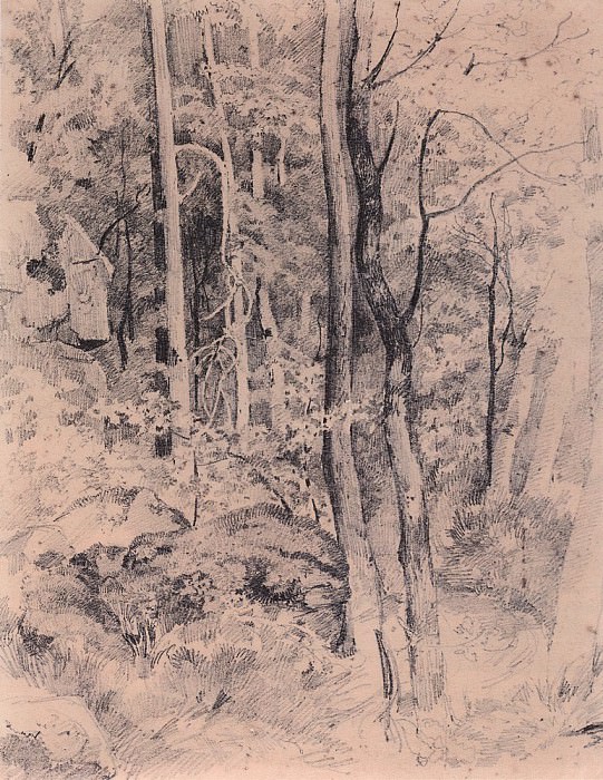 Forest. Start 1870 23, 8h18, 4, Ivan Ivanovich Shishkin
