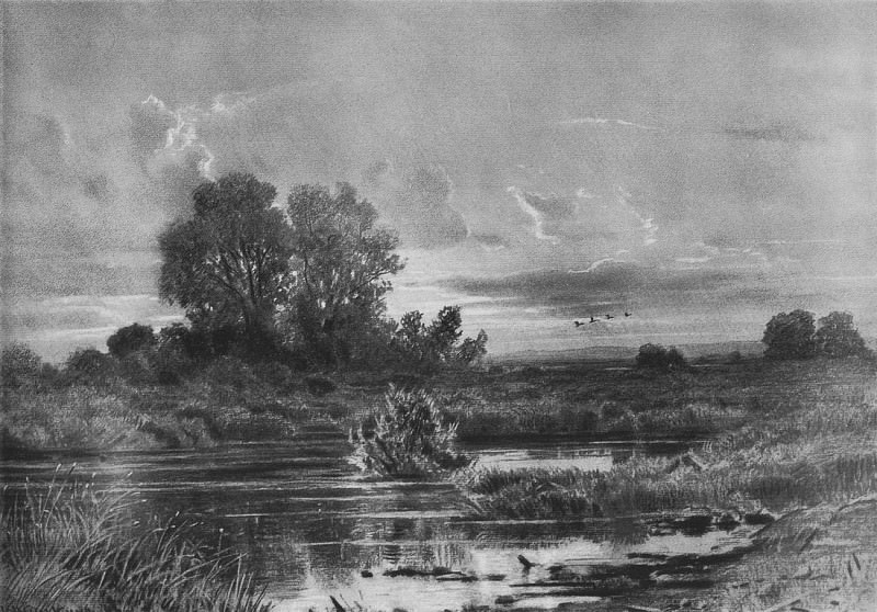 overgrown pond. 1884 47h61. 2, Ivan Ivanovich Shishkin