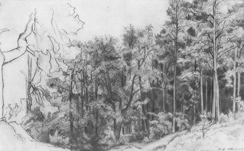 Лиственный лес 1873 30х45, Иван Иванович Шишкин