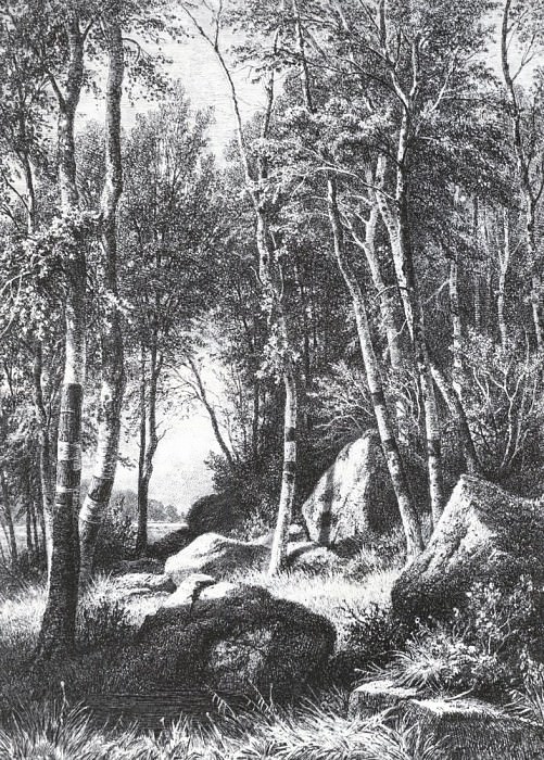 On the edge of a birch grove. Balaam. 1859-1860 44, 4h37, 5, Ivan Ivanovich Shishkin