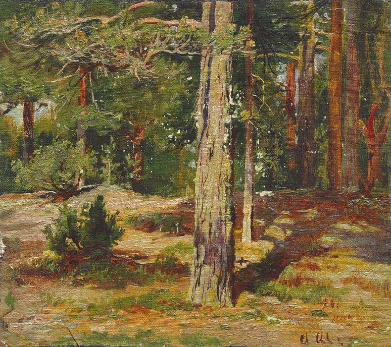 Pines, Ivan Ivanovich Shishkin
