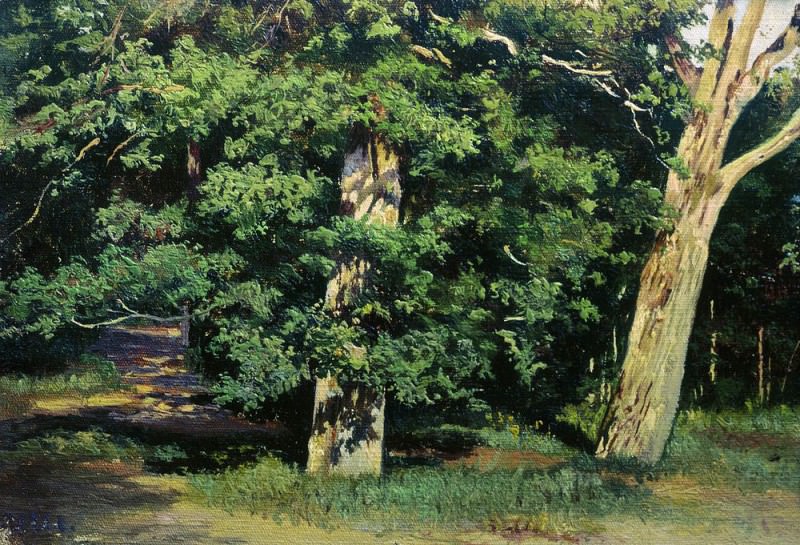 Trees 17. 9h26, Ivan Ivanovich Shishkin