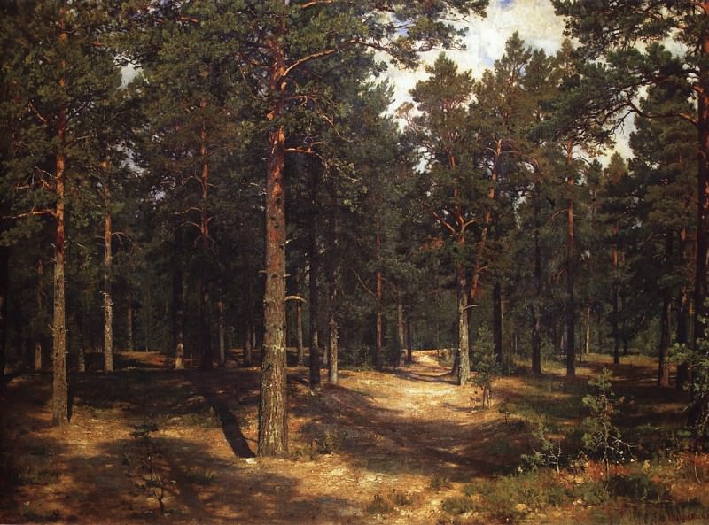 Track among the pines. 1883 96h143, Ivan Ivanovich Shishkin