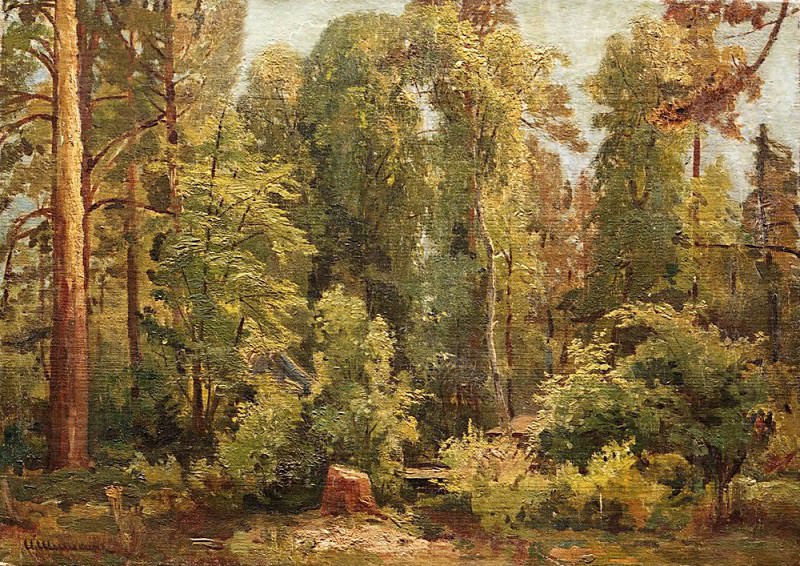 В лесу, Иван Иванович Шишкин