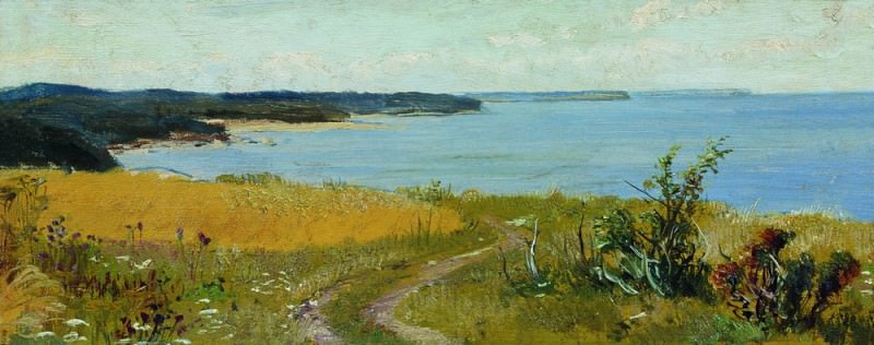 View on the beach 33. 5h19, Ivan Ivanovich Shishkin