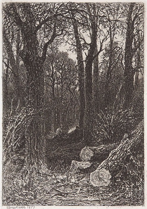 On felling. 1873 15. 4x10, 7, Ivan Ivanovich Shishkin