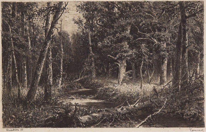 Chernolese. 1885 17, 5h27, Ivan Ivanovich Shishkin