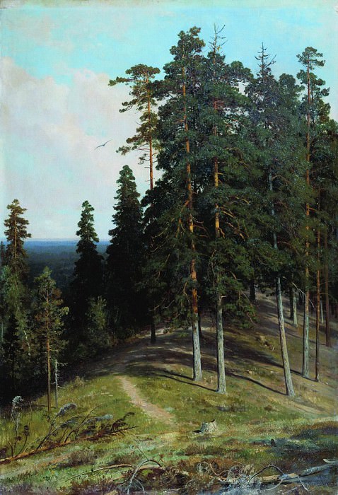 Forest from the mountain. 1895 106, 4h73, Ivan Ivanovich Shishkin