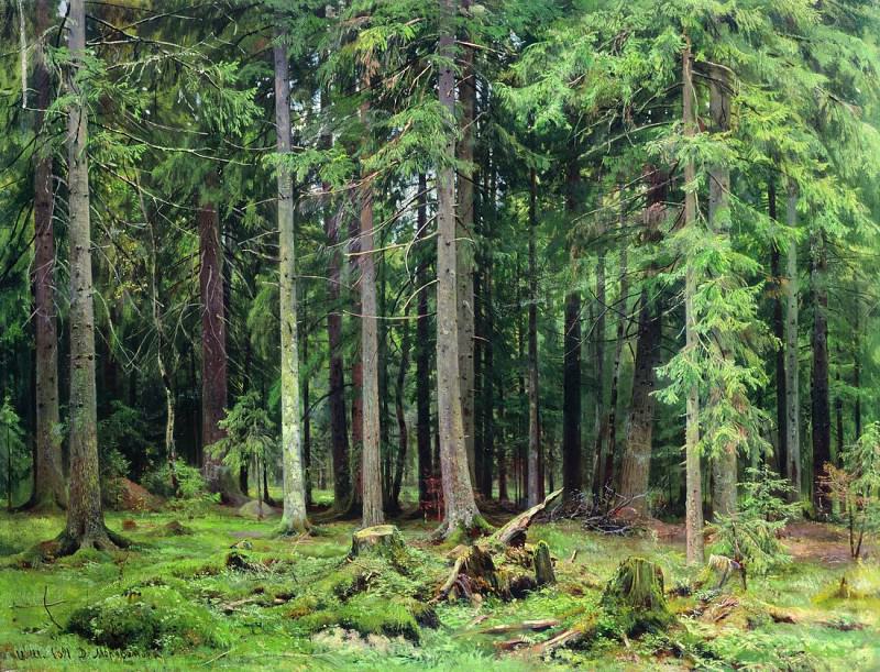 Forest in Mordvinova. 1891 83h110, Ivan Ivanovich Shishkin