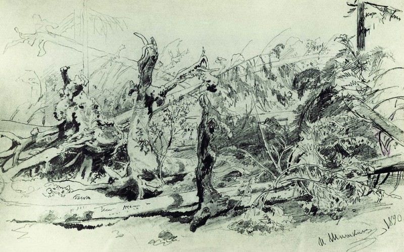 deadfall 1890 Paper. pencil, Ivan Ivanovich Shishkin
