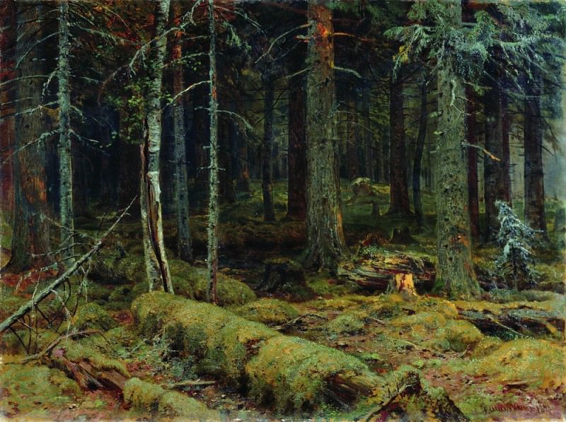 Тёмный лес 1890 92х124, Иван Иванович Шишкин