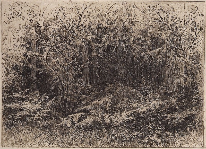 ant. 1885, 17 7x24, 2, Ivan Ivanovich Shishkin