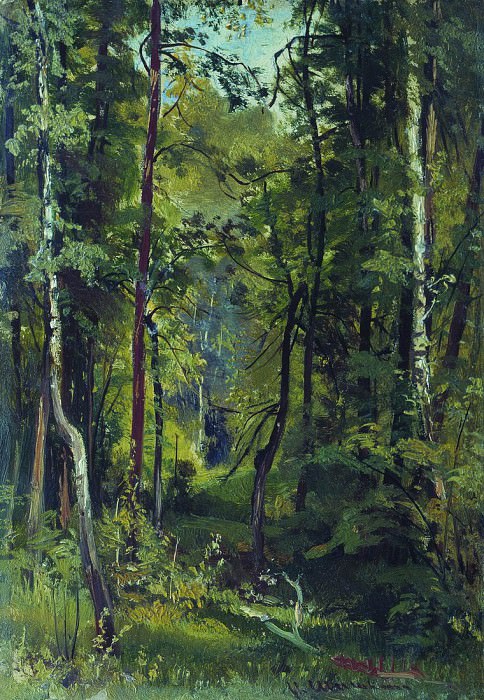 Forest. Etude 27. 5h19, Ivan Ivanovich Shishkin