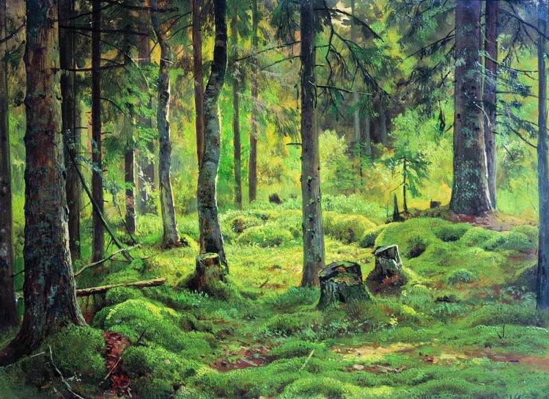 deadwood. Etude 1893, Ivan Ivanovich Shishkin