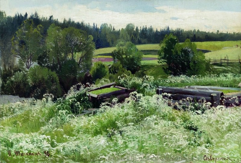 In Siverskaya 1896, Ivan Ivanovich Shishkin