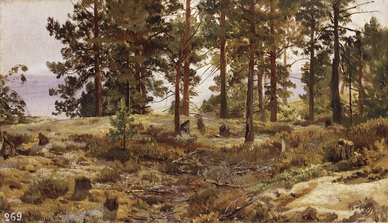 On the sandy soil. Mary Howie on the Finnish railway. 1889 35, 5h50, Ivan Ivanovich Shishkin