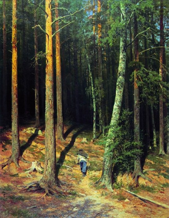 1878 Pine Forest 115h88, Ivan Ivanovich Shishkin