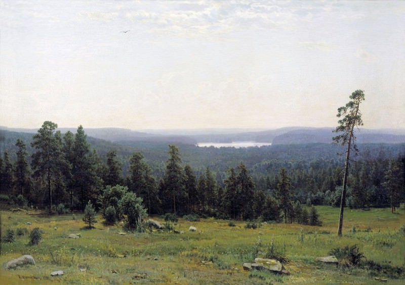 Forest gave 1884 112, 8h164, Ivan Ivanovich Shishkin