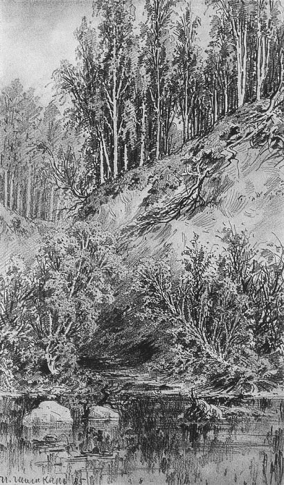 Beach brook 1885 paper, graphite. pencil 48h31. 5, Ivan Ivanovich Shishkin