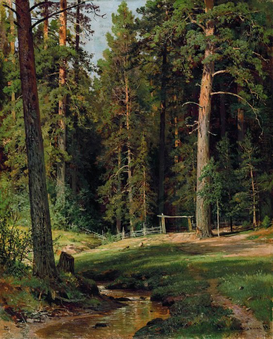 Edge of the Forest 1884 71. 5h57. 5, Ivan Ivanovich Shishkin