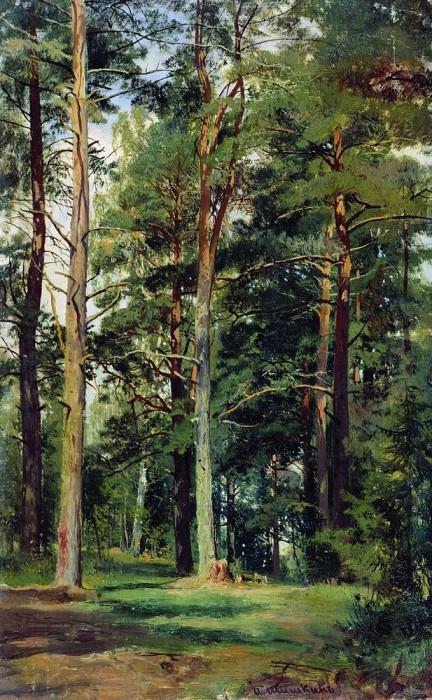 meadow with pine trees 59 23. 4, Ivan Ivanovich Shishkin